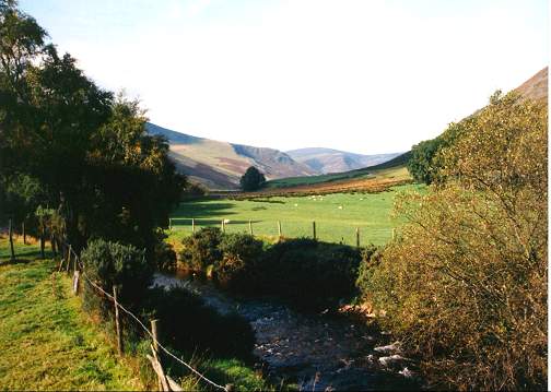Mosedale valley